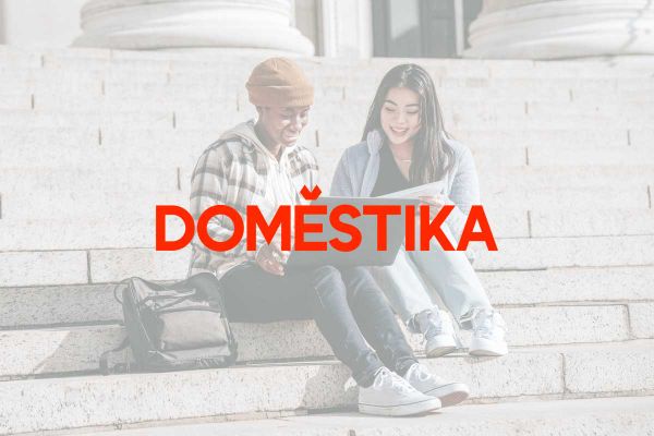 Domestika alcanza estatus de unicornio