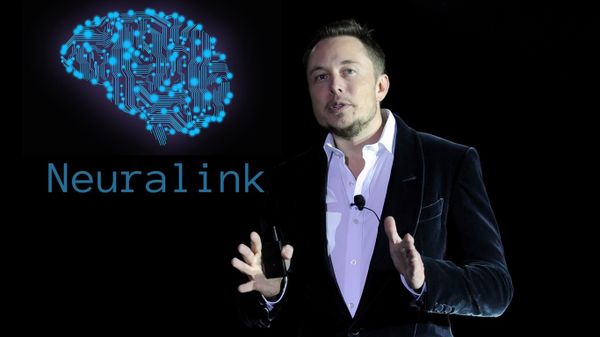 Empresas de Elon Musk en el foco de acusaciones raciales y maltrato animal