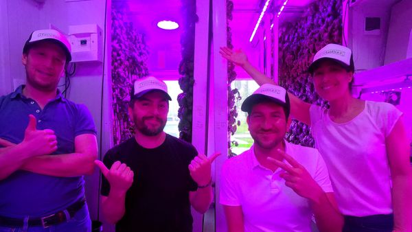 Farmtastica ingresa al programa para startups de Microsoft