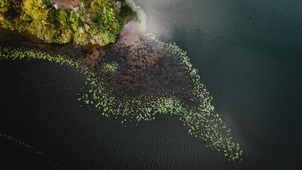 Siete startups fueron seleccionadas para participar en el programa Innovation for Ecosystem Restoration: Latam 2023