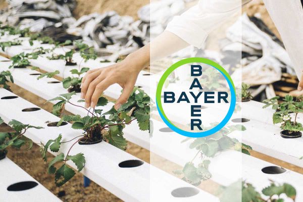 Destacan jóvenes mexicanos en la 5ª Cumbre de Jóvenes por la Agricultura de Bayer