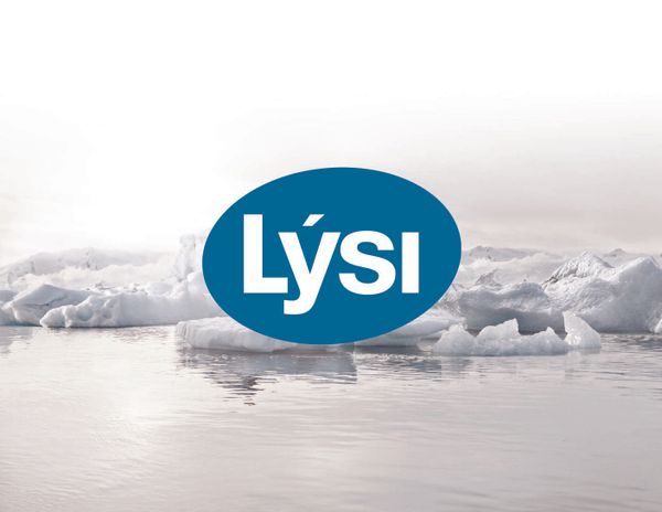 Aceite de higado de bacalao, el boost que tu salud necesita