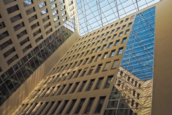 5 beneficios de un ambiente laboral sano para tu organización