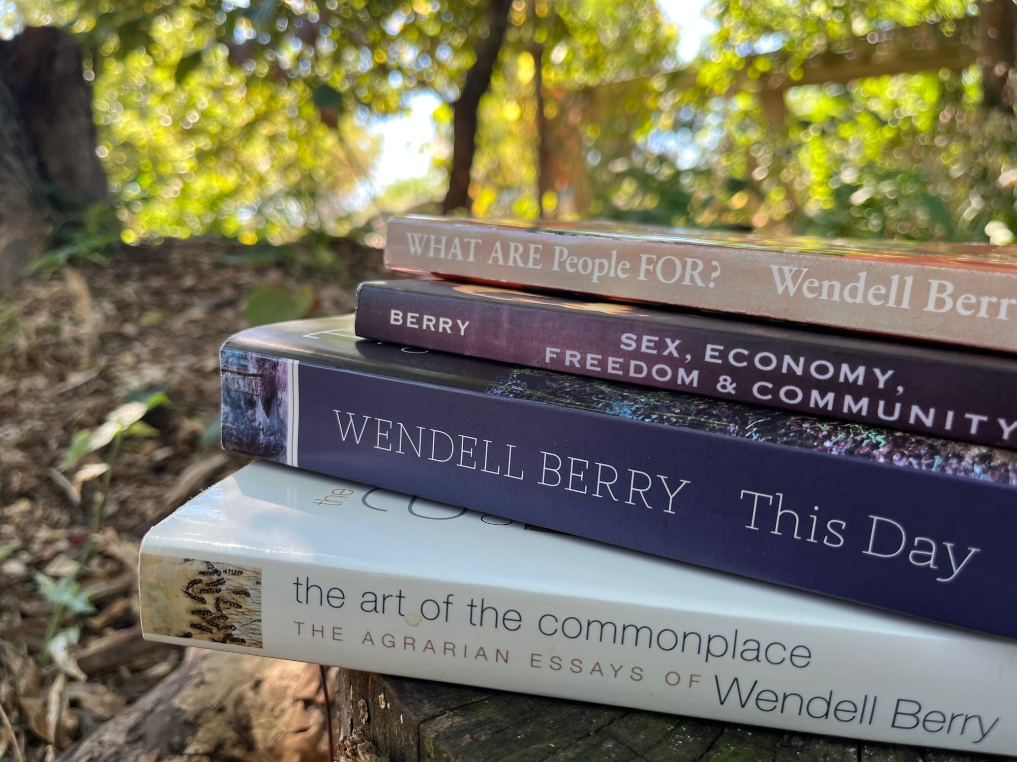 6 Books for Getting Started with Wendell Berry