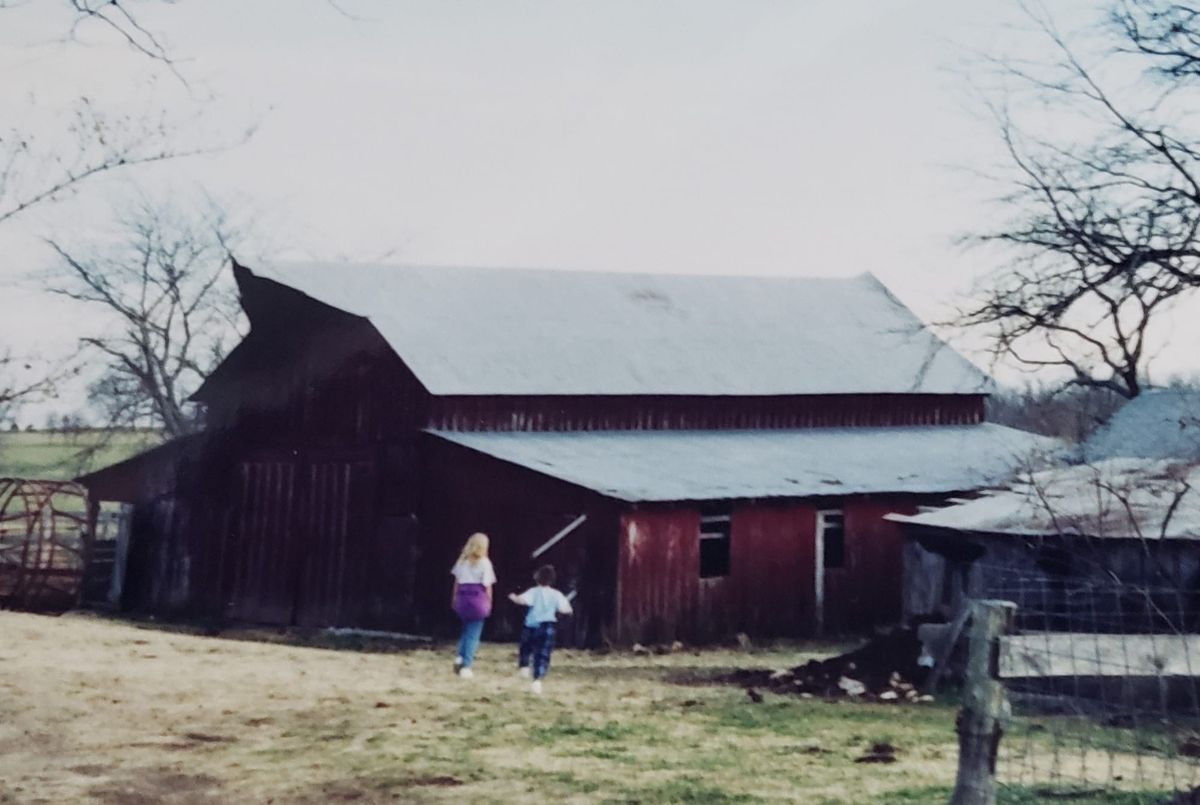 Blog No 6 Languages Spoken by the Amish