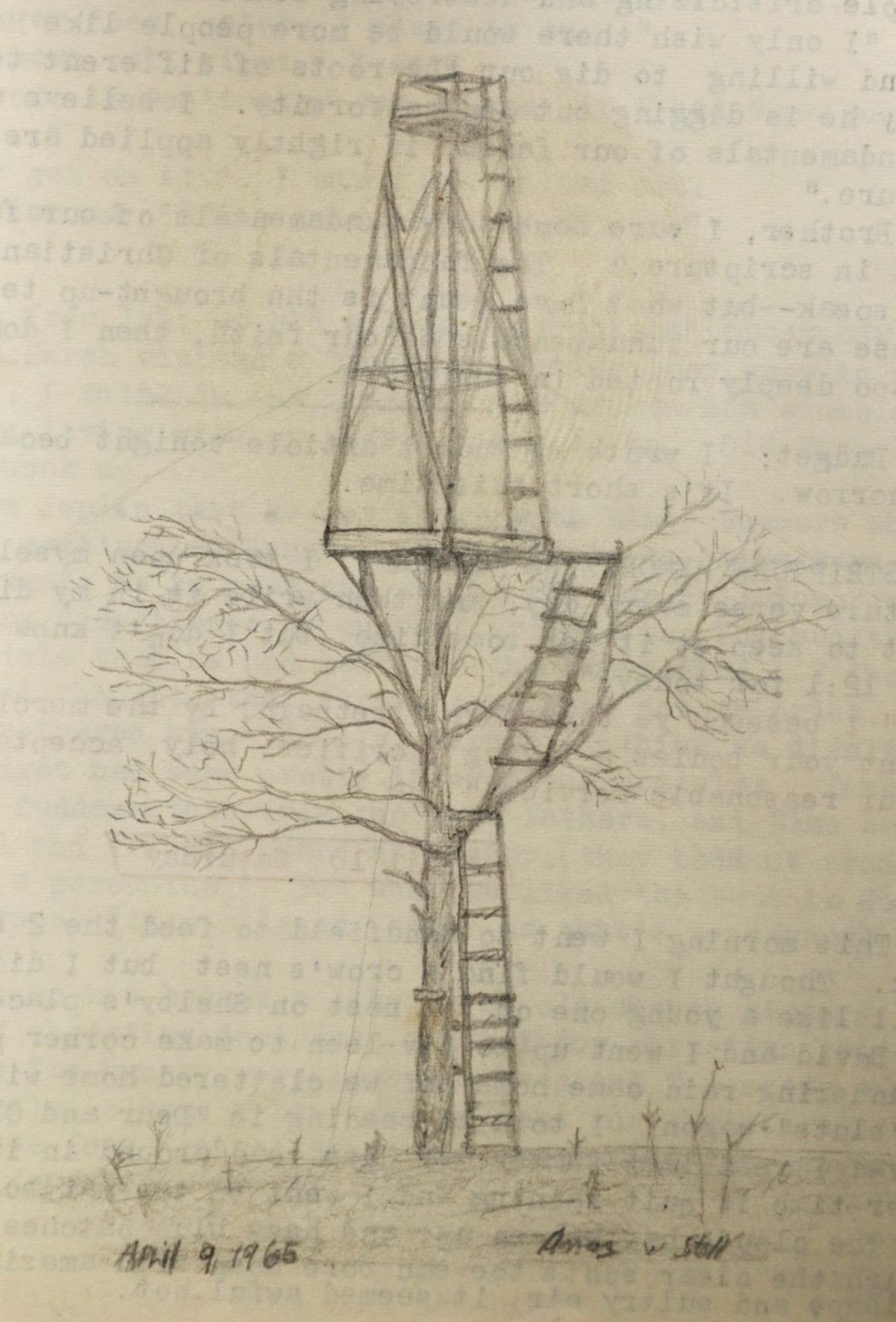Blog No 4 Treehouse and Tower