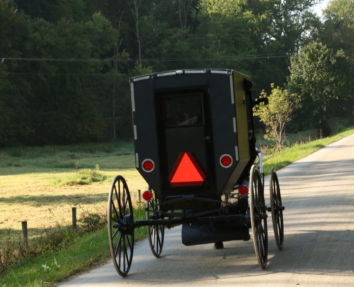 Blog No 46   The Amish in Holmes County