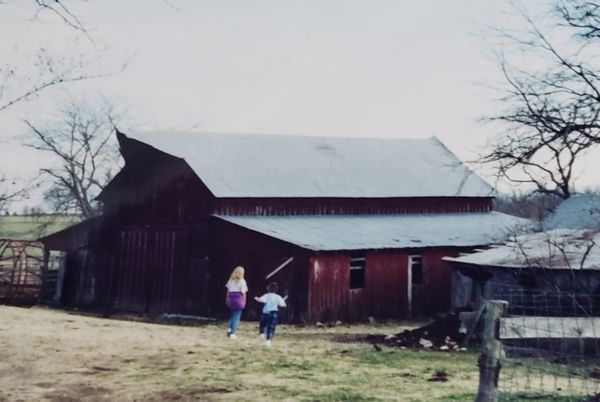 Blog No 6 Languages Spoken by the Amish
