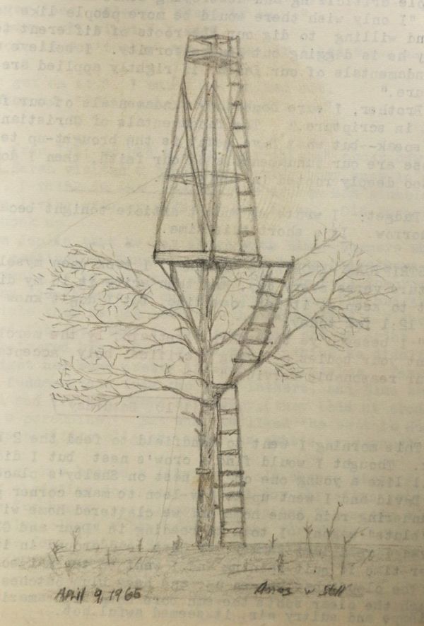 Blog No 4 Treehouse and Tower