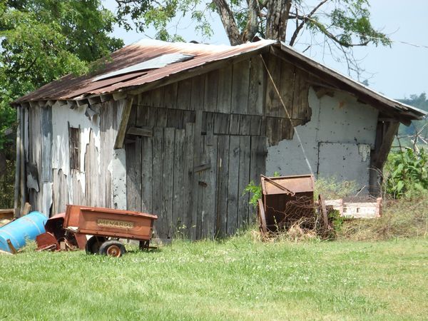 Blog No 3 Cotton Patch
