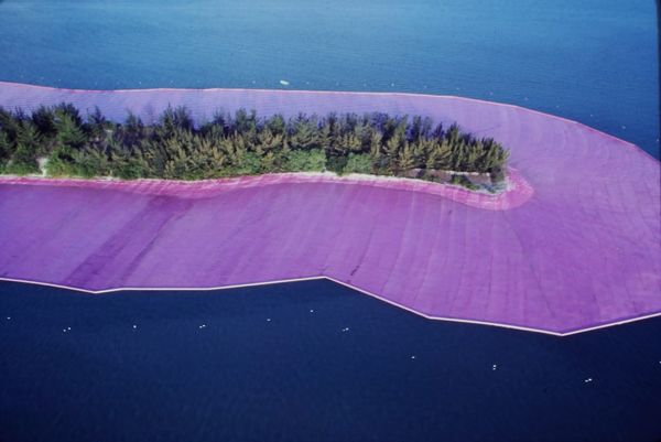 Blog No 38  Islands Draped in Pink