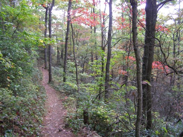 Blog No 42  The Appalachian Trail in the Fall
