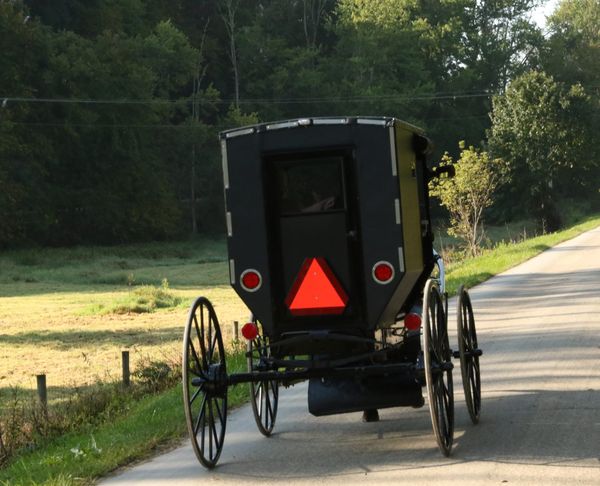 Blog No 46   The Amish in Holmes County
