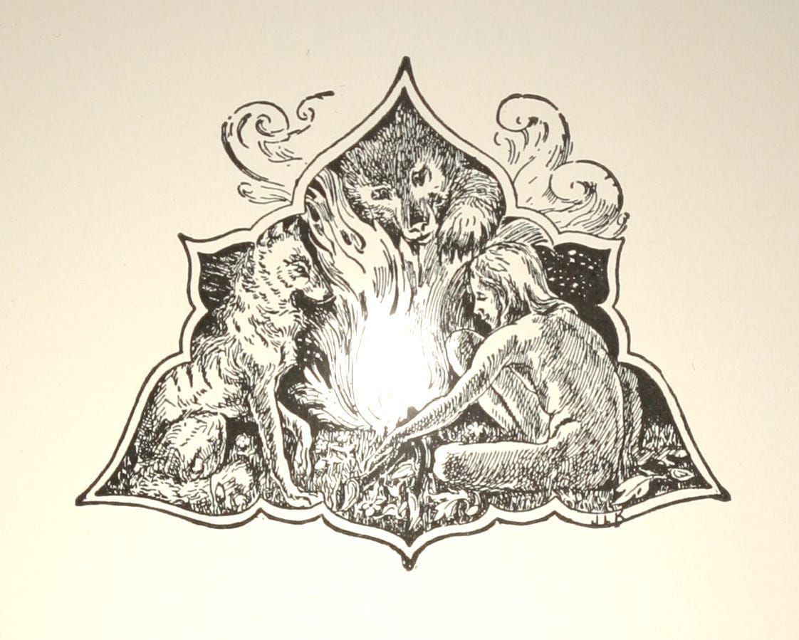 Money through the Eyes of Mowgli