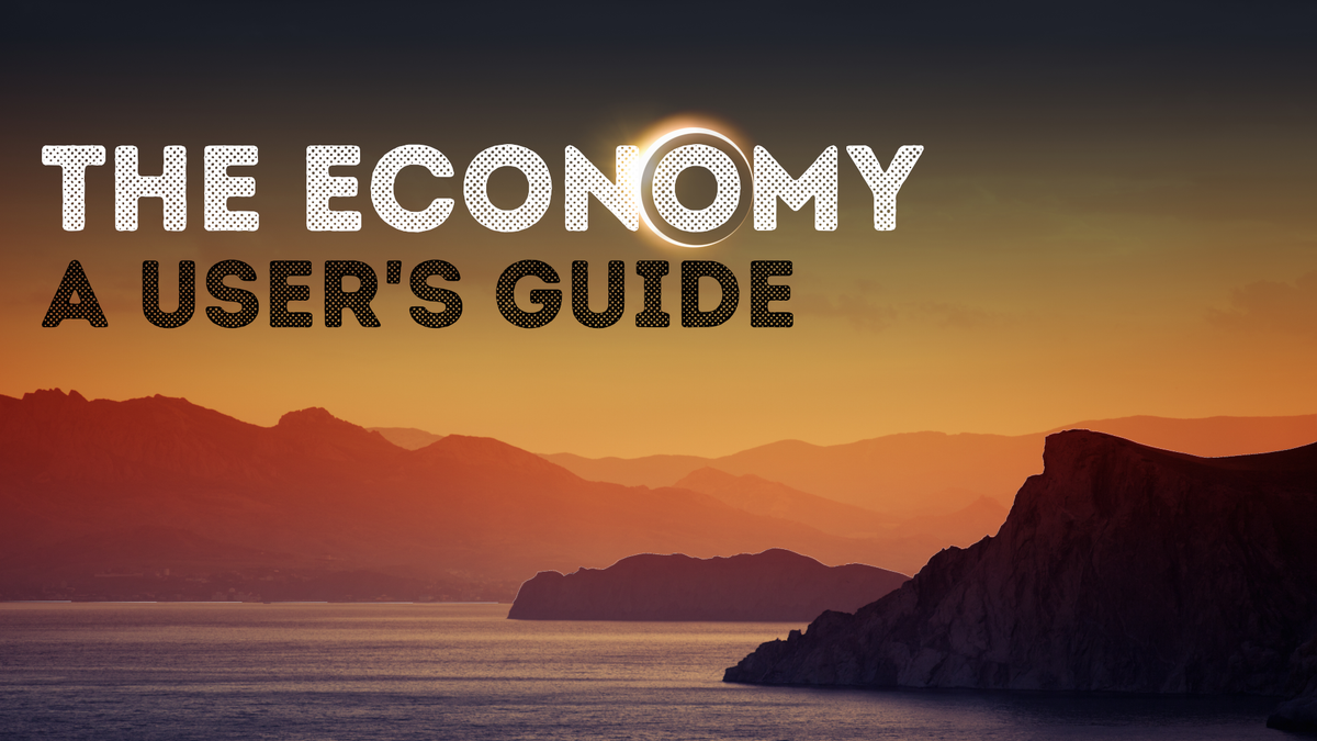 The Economy: A User's Guide