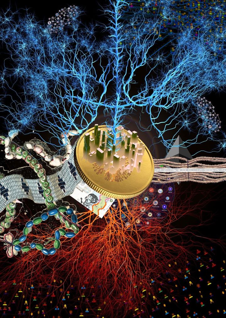 Designing the Moneyverse