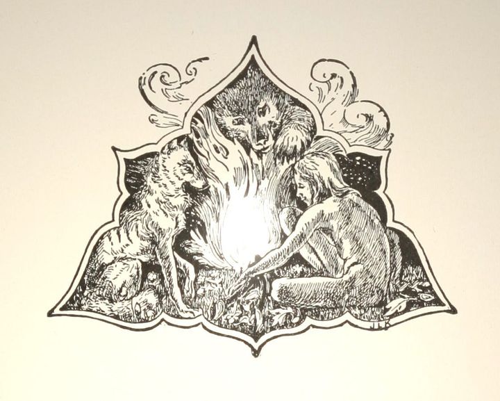 Money through the Eyes of Mowgli