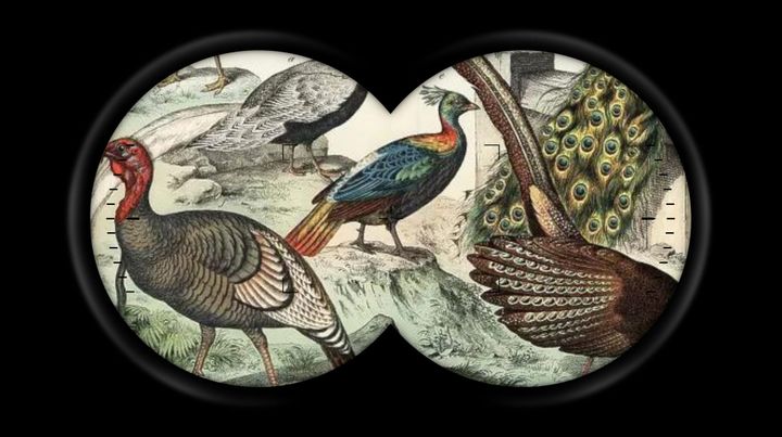 Surveillance Capitalism 2024, Wrapped