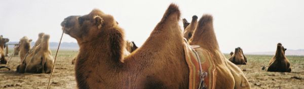 Update 20260225 (Hump Day)