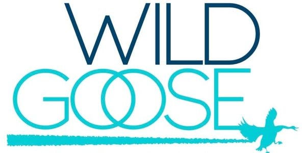 Wild Goose Festival 1: Moral Formation