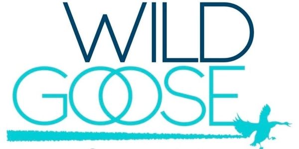 Wild Goose Festival 3: Moral Reintegration