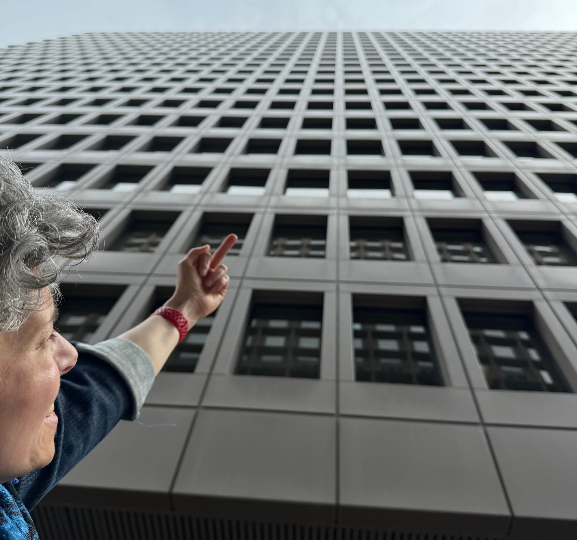 A woman flips the bird to a massive, faceless, government building, with the sky above it.