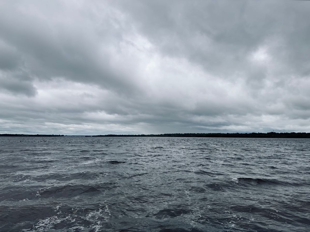 the ocean