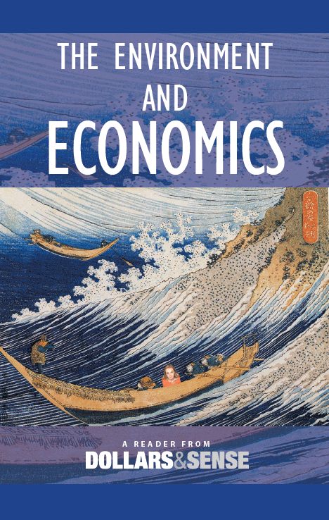 Cover of The Environment and Economics