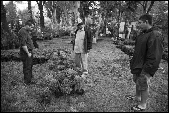 Fernando Mendez and two other park inhabitants look at the trees they're growing in a an effort to make up for those already cut down by developers who want to get rid of the park.