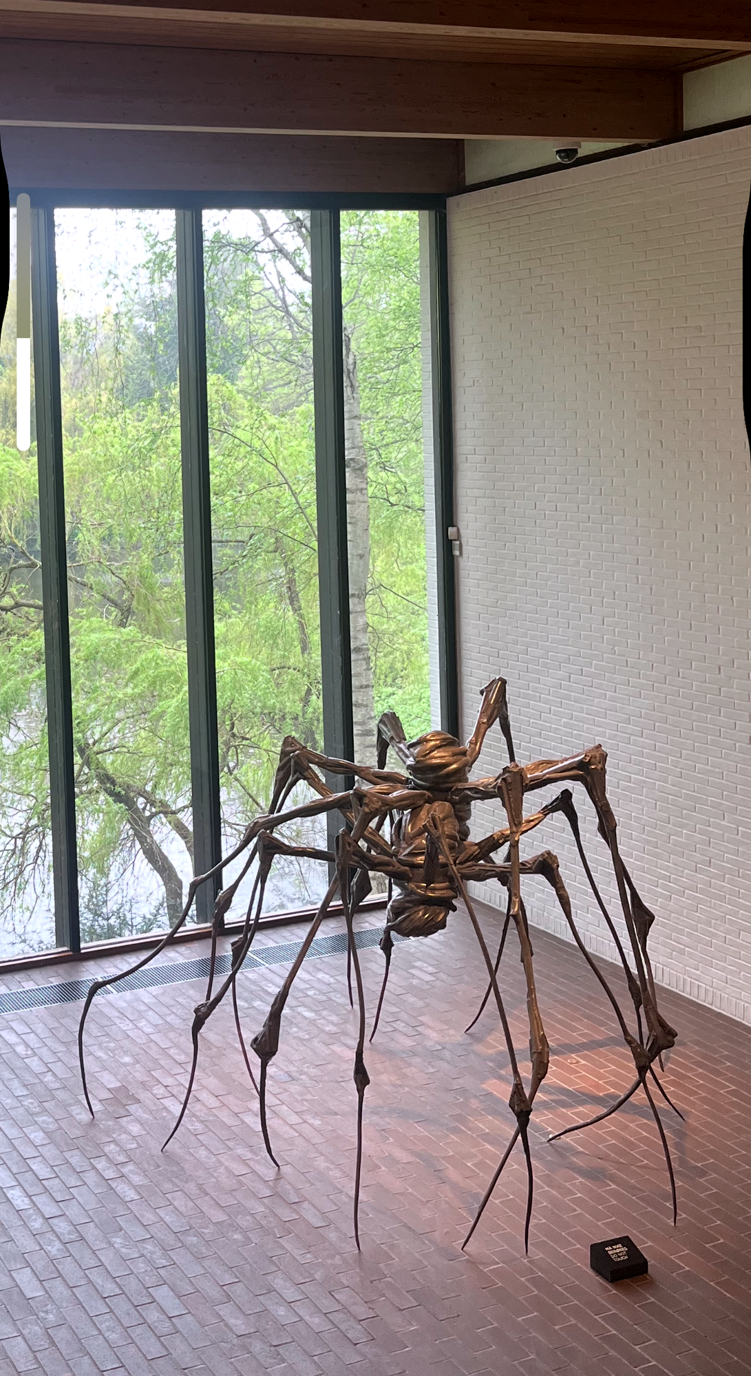 Listen: The Orb Weavers