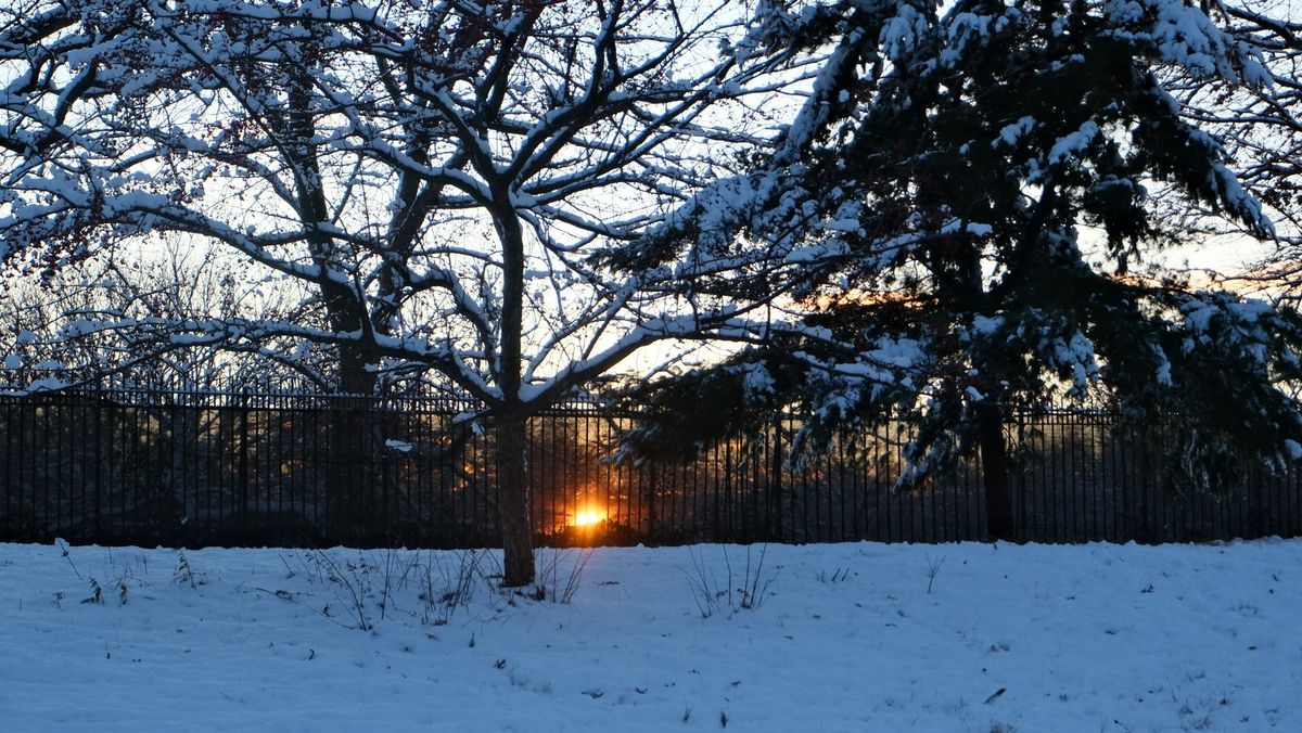 Listen: Tarot at the After-Party