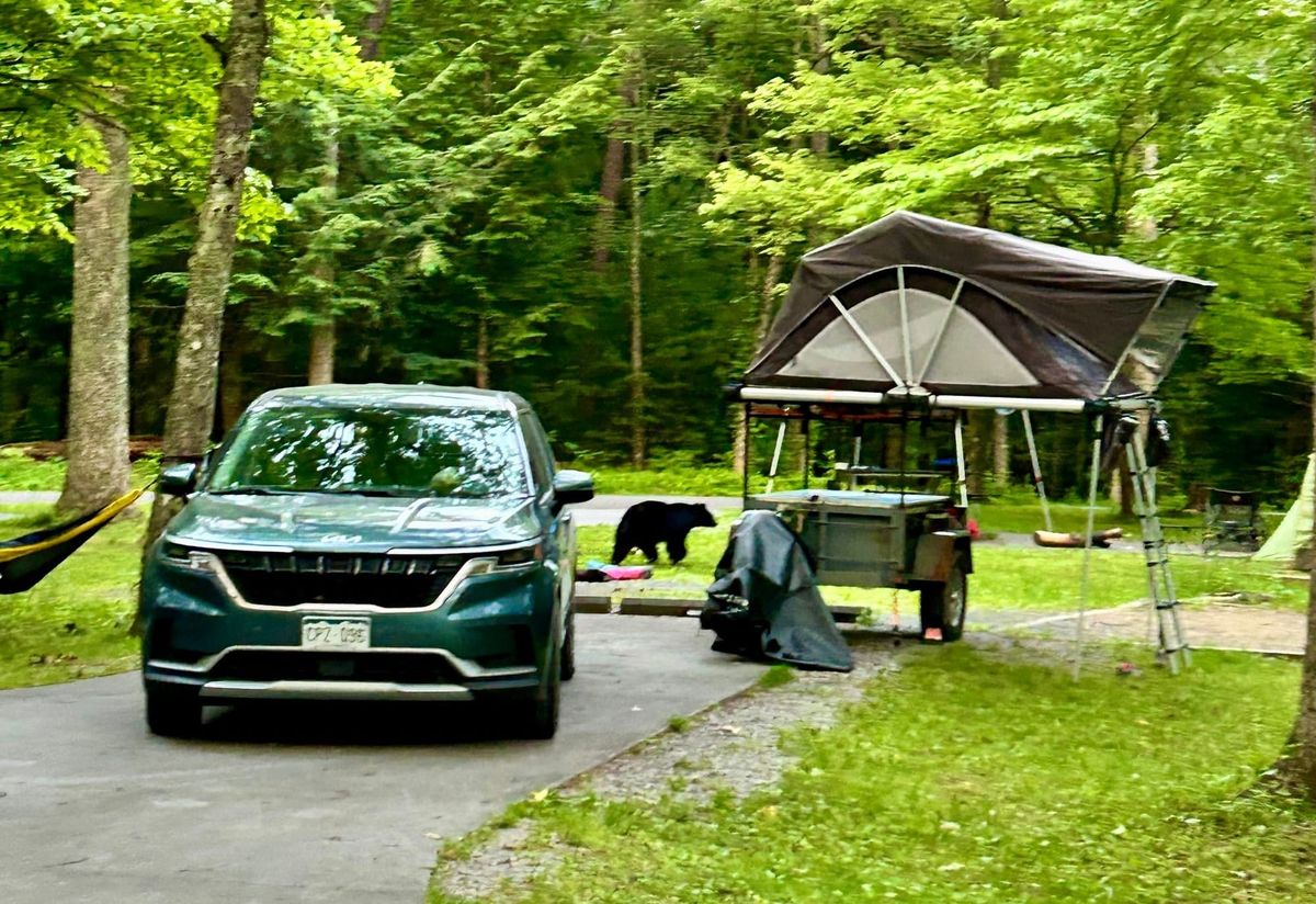 Psalm 4: Great Smoky Mountains National Park