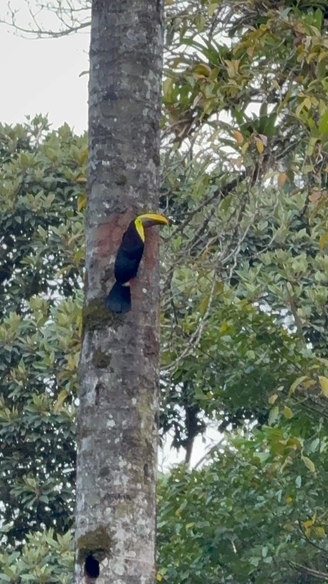Psalm 24: Arenal Volcano National Park, Costa Rica