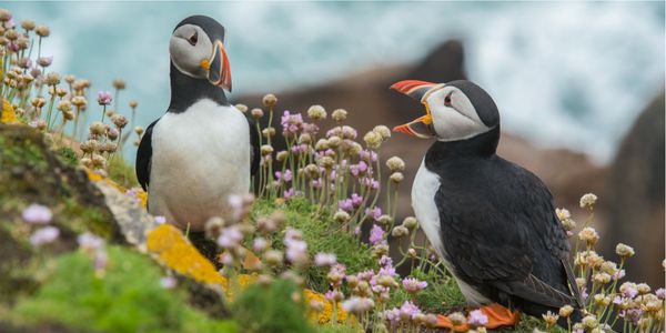 Vers un feedback constructif