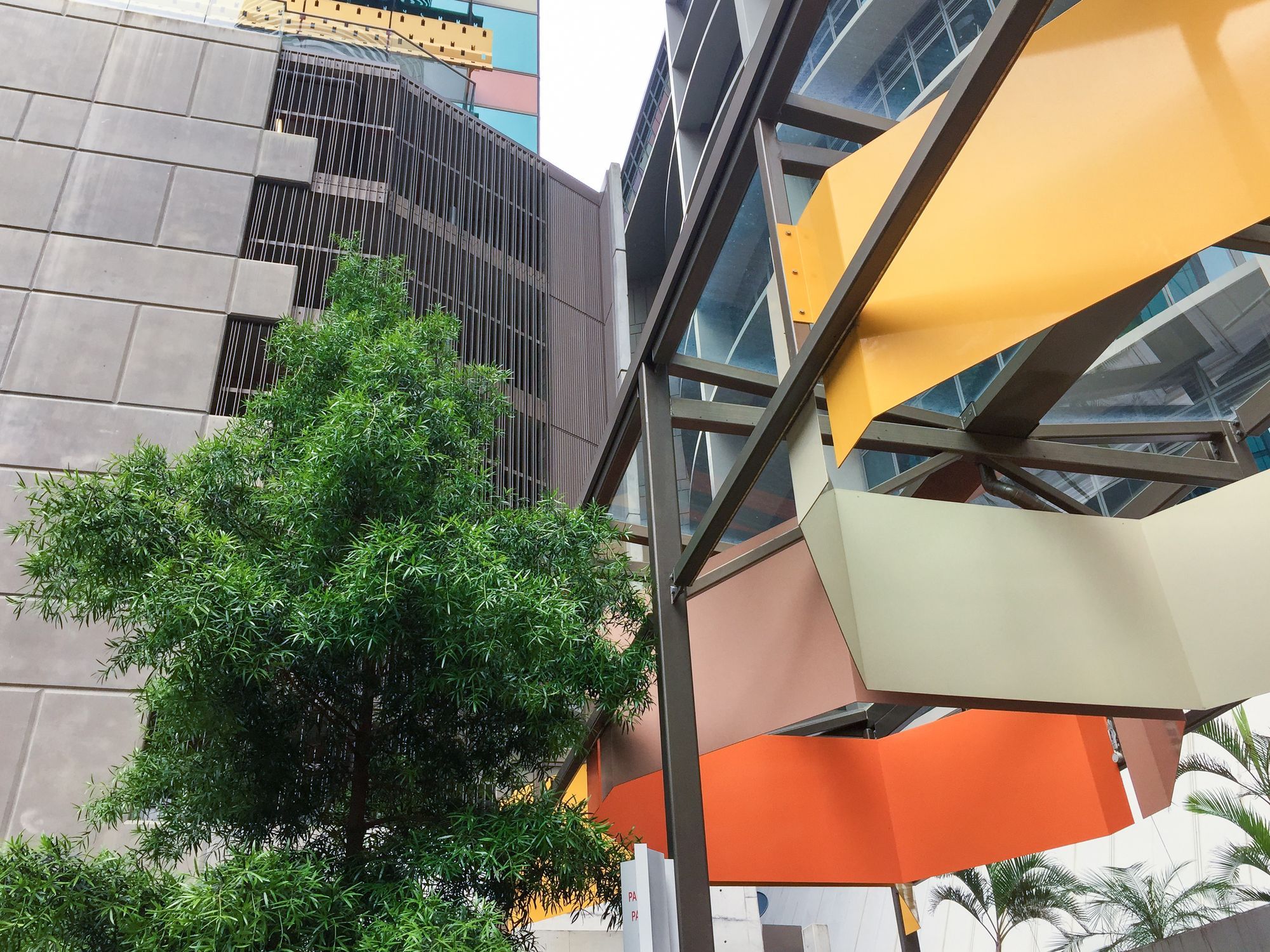 Brisbane's Digital SLR Photography Course - 4 Hours