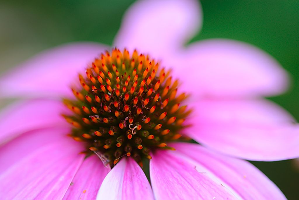 Melbourne's Manual Photography Course