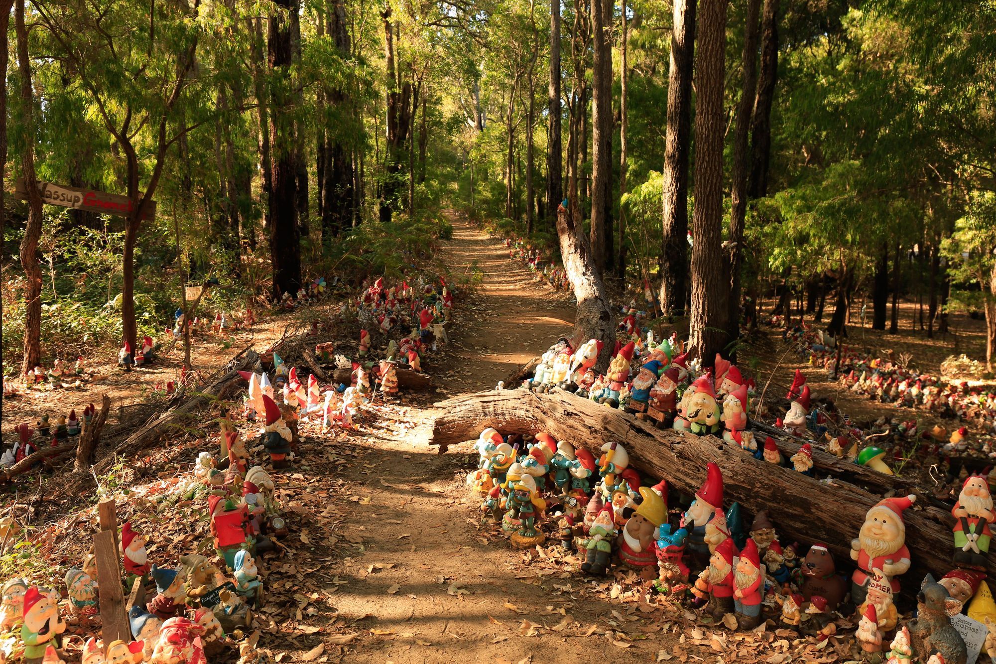 Hidden Corners of the Southwest Photographic Tour (2 days)