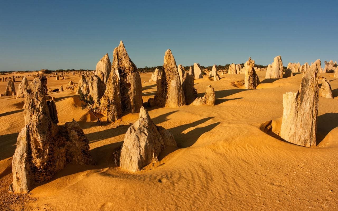 Pinnacles, Yanchep National Park and Lancelin Tour