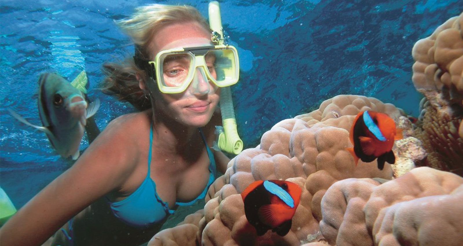 Gold Coast Snorkelling