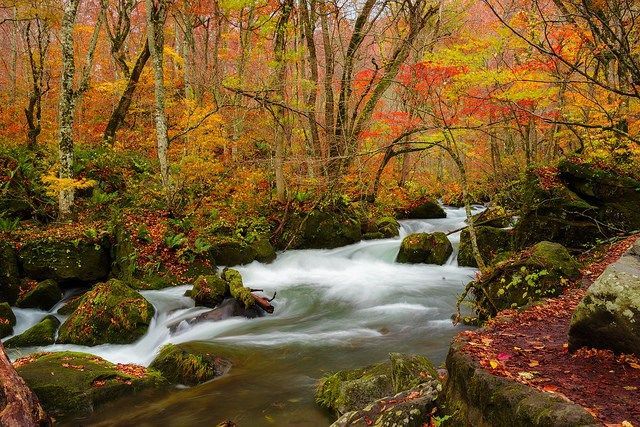 Japan in Autumn - October Photography Tour