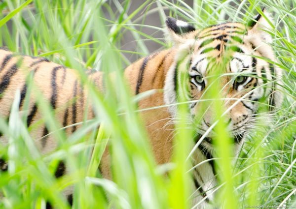 GET TO KNOW YOUR CAMERA COURSE WORKSHOP: Photography Basics