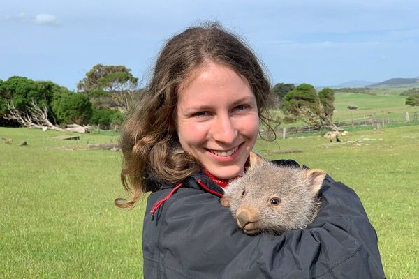 Wildlife photography course | Canberra | 4 hours