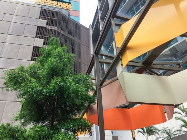 Brisbane's Digital SLR Photography Course - 4 Hours