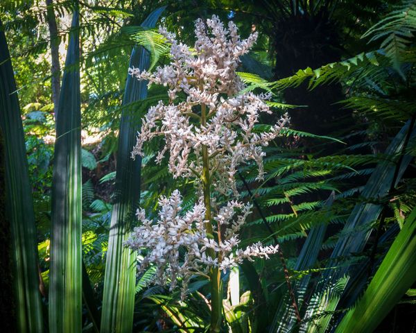 Canberra's Manual Photography Course