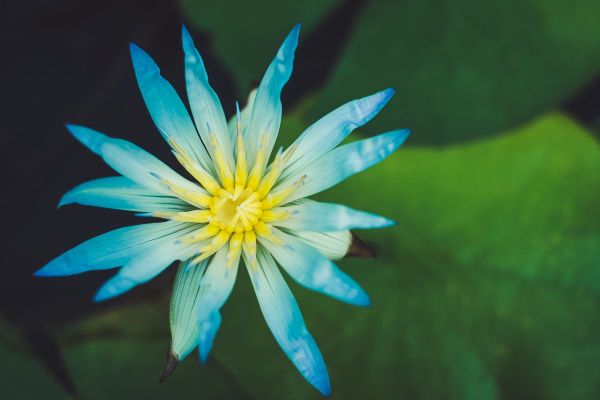 Adelaide Day Photography Workshop