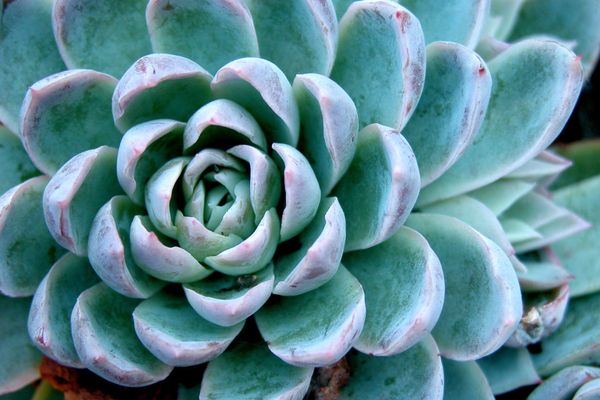 ONLINE BEGINNERS PHOTOGRAPHY | 469 PAGES | PHOTOGRAPHY SPACE