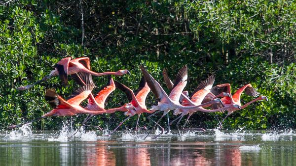 WILDLIFE & NATURE PHOTOGRAPHY | PERTH ZOO | 4 HRS | CODE LIME PHOTOGRAPHY