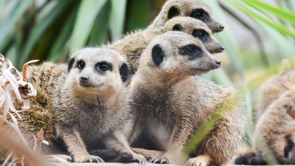 Wildlife Photography Course Sydney | Focus 10