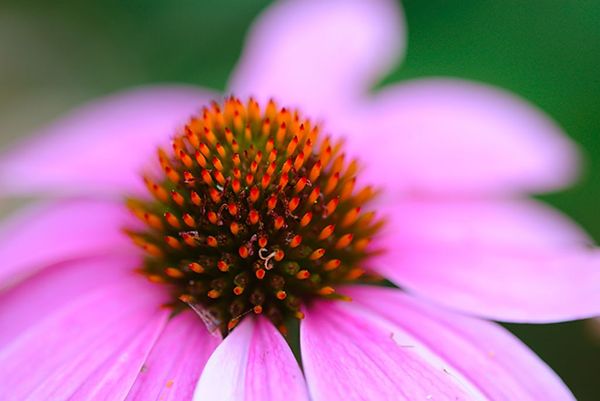 Melbourne's Manual Photography Course