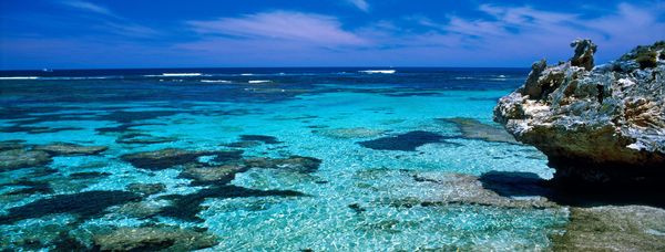 Rottnest Photographic Day Tour with Ferry